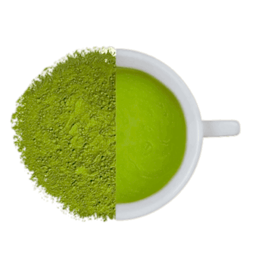 MATCHA